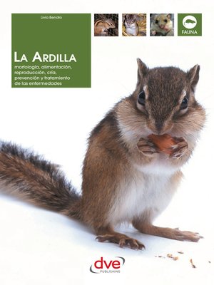 La ardilla - ebook